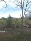 sb00019.jpg (50123 bytes)
