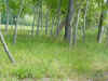 cb00025.jpg (234127 bytes)