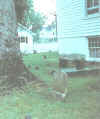 ck00090.jpg (66537 bytes)