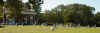 mt00563.jpg (107655 bytes)