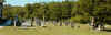 mt00564.jpg (111670 bytes)