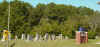 mt00568.jpg (164647 bytes)
