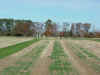 sc00011.jpg (26384 bytes)