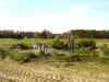 sc00012.jpg (28624 bytes)