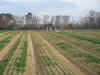 sc00016.JPG (149500 bytes)