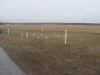 sb00100.JPG (27745 bytes)