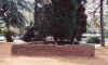 wf00023.jpg (49478 bytes)