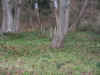 wa00001.JPG (180011 bytes)