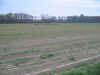 wc00015.JPG (131355 bytes)