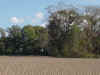 ws00006.jpg (80334 bytes)
