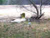 dj00038.jpg (105746 bytes)