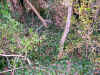 hg00002.JPG (102726 bytes)