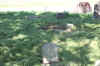 bb00002.jpg (263091 bytes)