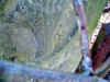 fg00007.JPG (46292 bytes)
