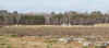 tf00017.jpg (105687 bytes)