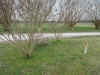 ce00611.jpg (7829887 bytes)