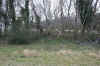 oc00012.jpg (199225 bytes)