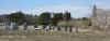 wf00087.jpg (45163 bytes)