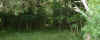rp00001.jpg (81480 bytes)