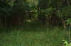 rp00006.jpg (123123 bytes)