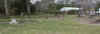 rr00017.jpg (80639 bytes)
